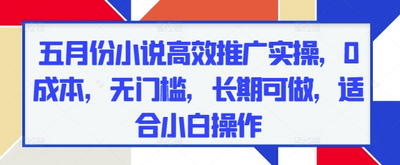 五月份小说高效推广实操，0成本，无门槛，长期可做，适合小白操作-九天资源站