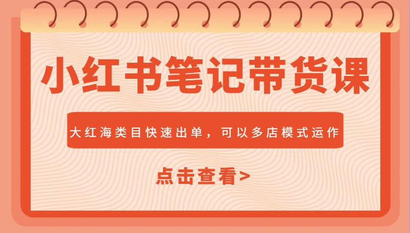 小红书笔记带货课，大红海类目快速出单，市场大，可以多店模式运作(更新)-九天资源站