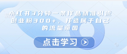小红书3分钟一条作品精准引流创业粉300+，打造属于自己的流量帝国-九天资源站