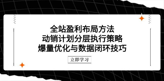 全站盈利布局方法：动销计划分层执行策略，爆量优化与数据闭环技巧-九天资源站