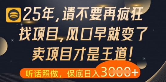 什么？25年你还在疯狂找项目做，醒醒吧，看完这些你全都懂了【揭秘】-九天资源站