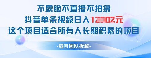 不露脸不直播不拍摄抖音单条视频日入1k+这个项目适合所有人长期积累的项目-九天资源站