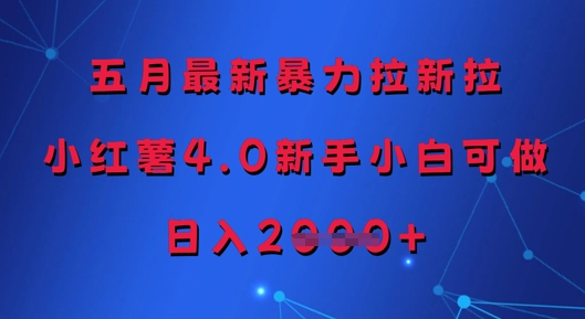 五月最新暴力拉新拉，小红薯4.0新手小白可做，日入多张-九天资源站
