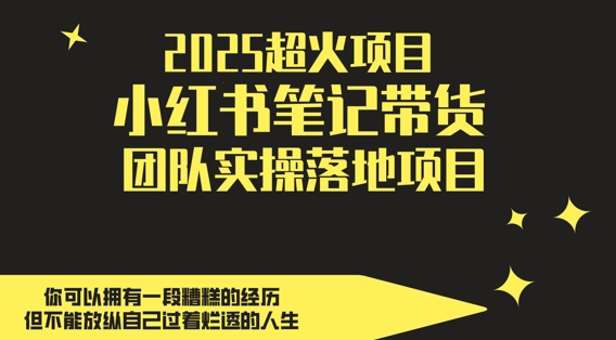 2025超火项目，副业最佳选择，小红书笔记带货团队实操落地项目，，轻松日入5张-九天资源站