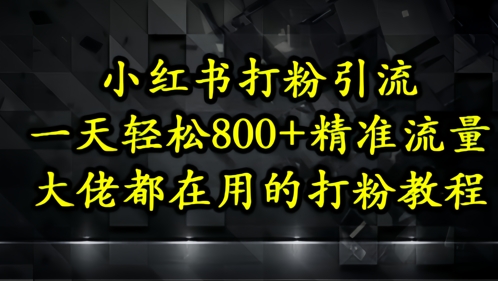 小红书打粉引流，一天轻松500+精准流量，大佬都在用的打粉教程-九天资源站