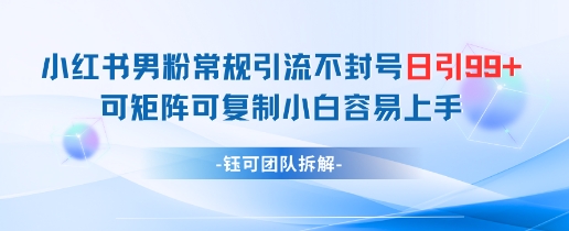 小红书男粉常规引流不封号日引99+变现简单 可矩阵可复制小白容易上手-九天资源站