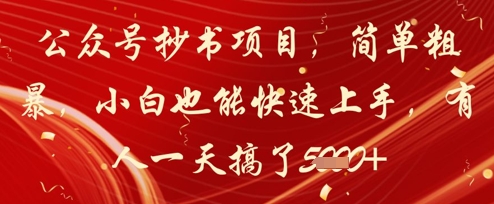 公众号抄书项目，简单粗暴，小白也能快速上手，有人一天搞了1k+-九天资源站