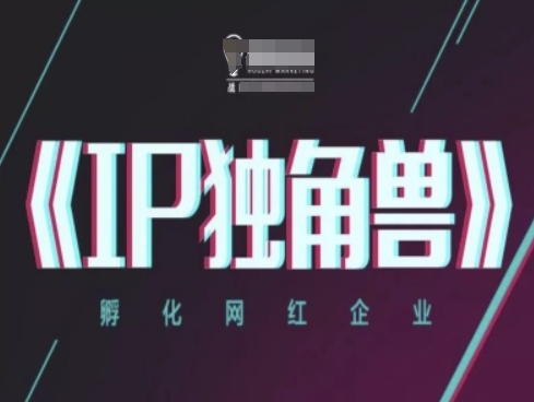 IP独角兽，孵化网红企业，ip教程-九天资源站