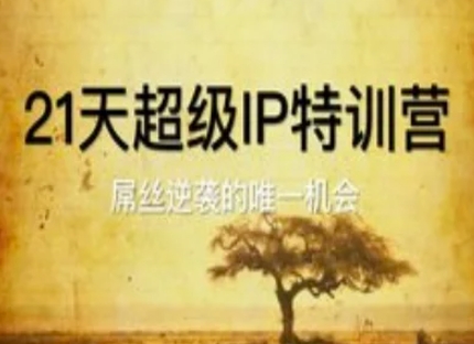 21天超级IP特训营，屌丝逆袭的唯一机会-九天资源站