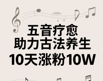古法五音养生教程，五音疗愈的视频的制作方法，2-4小时就能学会，作者10天涨粉10W-九天资源站