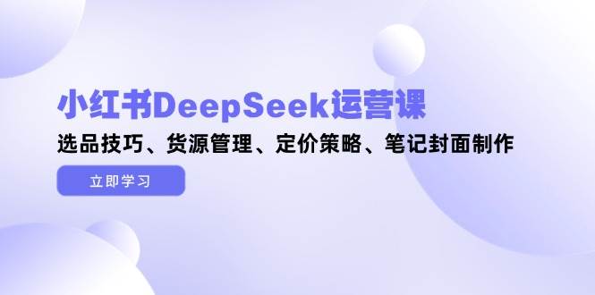 小红书DeepSeek运营课，选品技巧、货源管理、定价策略、笔记封面制作-九天资源站