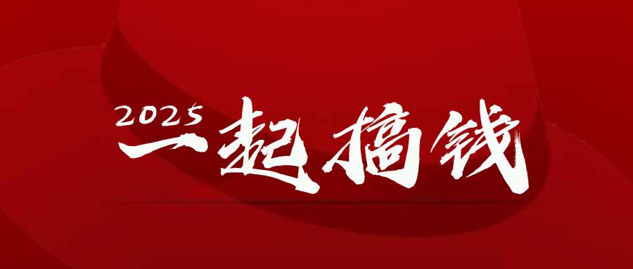 2025年，请“不择手段”去搞钱!-九天资源站