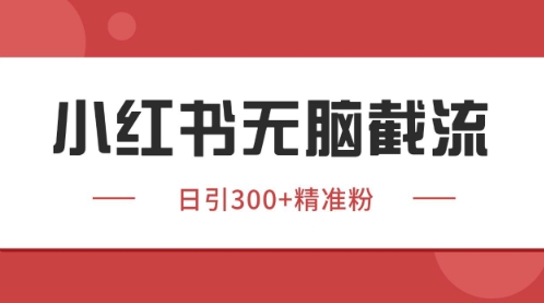 小红书只要你有同行就能获客，独家野路子获客玩法，暴力截流【揭秘】-九天资源站