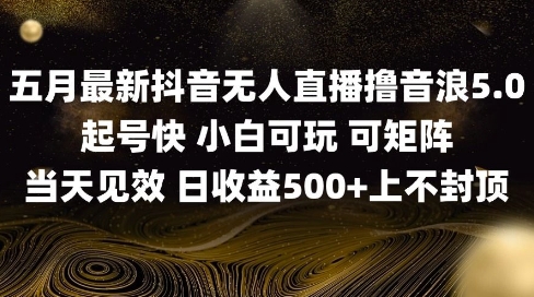 2025五月最新无人直播撸音浪单日产出5张+实操教程【揭秘】-九天资源站
