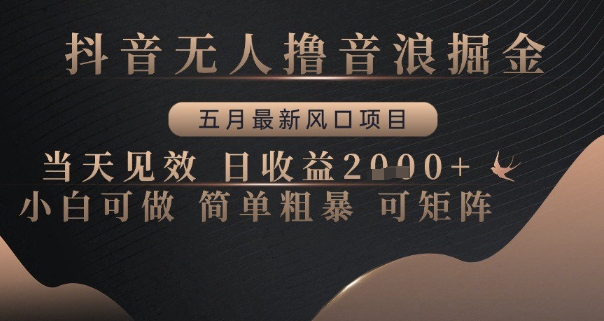 抖音无人撸音浪掘金，五月最新风口项目，当天见效，日收益多张，小白可做简单粗暴可矩阵【揭秘】-九天资源站