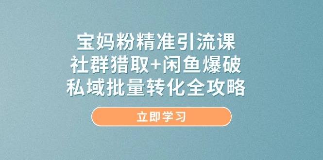 宝妈粉精准引流课，社群猎取+闲鱼爆破，私域批量转化全攻略-九天资源站