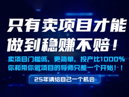 只有卖项目才能做到稳挣不赔，门槛低，更简单，你也可以年入百个W【揭秘】-九天资源站