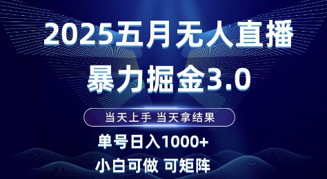 2025五月无人直播暴力掘金3.0，当天上手，当天拿结果，单号日入1k+小白可做可矩阵【揭秘】-九天资源站
