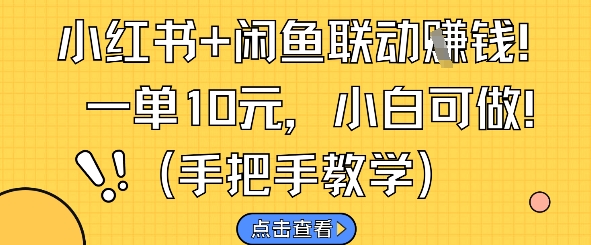 小红书+闲鱼联动挣钱，一单10元，小白可做-九天资源站