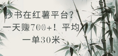 抄书在小红薯平台？平均一单30米，一天收益几张！-九天资源站