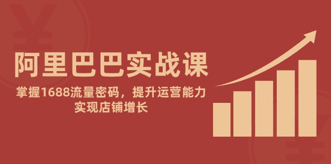 阿里巴巴实战课：掌握1688流量密码，提升运营能力，实现店铺增长-九天资源站