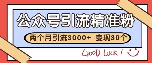 公众号精准粉引流玩法，2个月3000+精准粉，变现30个W【揭秘】-九天资源站