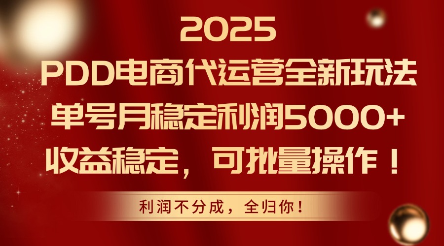 2025PDD电商代运营全新玩法，单号月稳定利润5000+，收益稳定，可批量操作-九天资源站