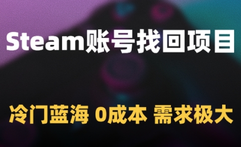 Steam账号找回项目，冷门蓝海，0成本，需求极大-九天资源站