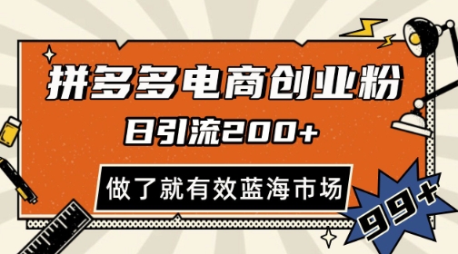 拼多多引流电商创业粉，日引200+，可矩阵放大，做了就有效【揭秘】-九天资源站