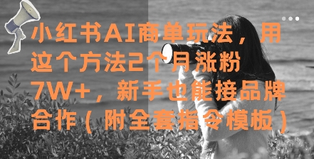 小红书AI商单玩法，用这个方法2个月涨粉7W+，新手也能接品牌合作(附全套指令模板)-九天资源站