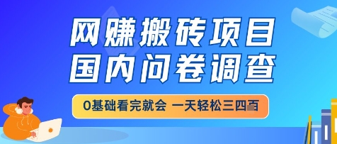 网创搬砖项目，国内问卷调查，小白轻松上手，一天三四张的也不难，干就完了【揭秘】-九天资源站