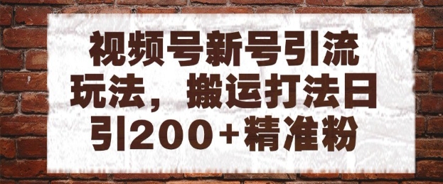 视频号新号引流玩法，搬运打法日引200+精准粉，可矩阵放大【揭秘】-九天资源站