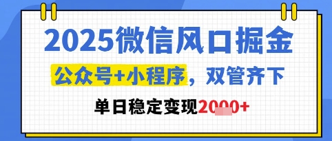 2025微信风口掘金，公众号+小程序双管齐下，单日稳定变现1k+【揭秘】-九天资源站