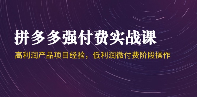 拼多多强付费实战课-44期，高利润产品项目经验，低利润微付费阶段操作-九天资源站