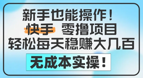 新手也能操作，快手零撸挣米，轻松每天挣2-5张，完全无成本-九天资源站