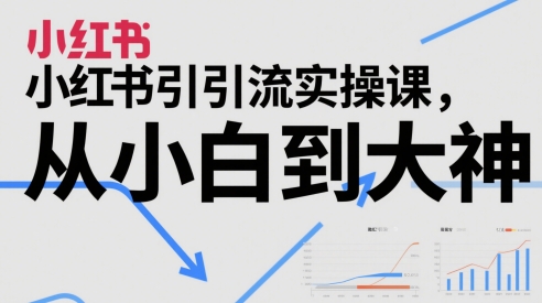 小红书引流实操课，从小白到大神-九天资源站