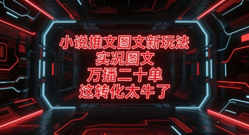 小说推文图文新玩法，实况图文，万播二十单，这转化太牛了！-九天资源站