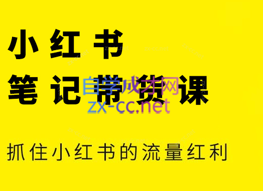 张宾·小红书笔记带货课(更新5月)-九天资源站