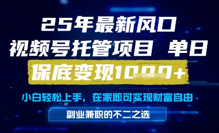 25年最新风口，视频号托管项目，单日保底变现1k+，手把手教学【揭秘】-九天资源站