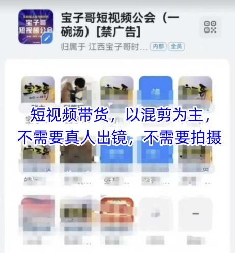 宝子哥头部团队短视频带货，以混剪为主，不需要真人出镜，不需要拍摄【更新】-九天资源站