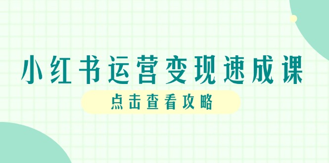 小红书运营变现速成课，账号搭建到暴力起号，个人IP全流程指南-九天资源站