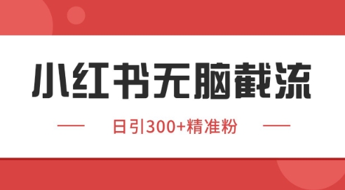 小红书截流同行客源，独家野路子获客玩法 日引200+暴力获客【揭秘】-九天资源站
