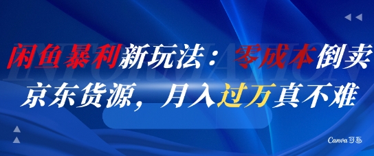 闲鱼暴利新玩法：零成本倒卖京东货源，月入过1W真不难-九天资源站