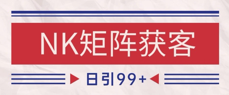 小红书某音NK赛道引流获客 自热矩阵日引200+【揭秘】-九天资源站