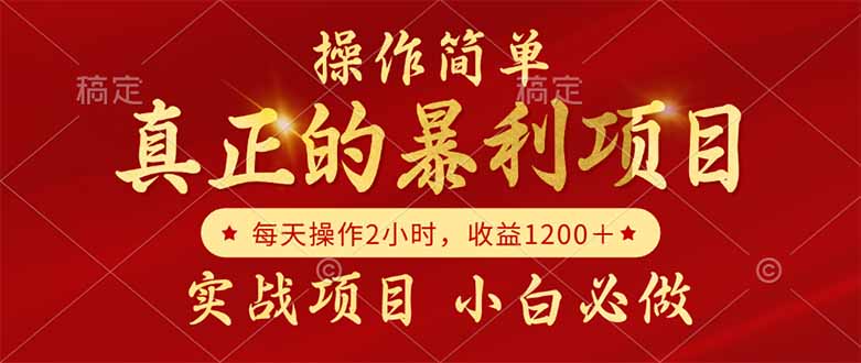 真正的暴利项目，操作简单，每天收益1200＋，自己做老板-九天资源站