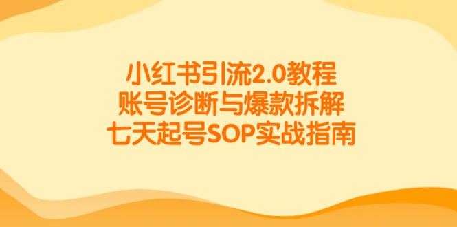 小红书引流2.0教程，账号诊断与爆款拆解，七天起号SOP实战指南-九天资源站