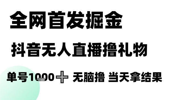 全网首发掘金抖音无人直播撸礼物，单号1k +无脑撸，当天拿结果【揭秘】-九天资源站