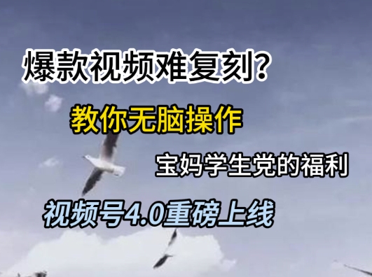 视频号4.0重磅上线，爆款视频难复刻？教你无脑操作宝妈学生党的福利【揭秘】-九天资源站