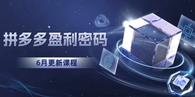 拼多多盈利密码：从烧钱推广到印钞模型，底层逻辑重构指南(6月更新-九天资源站