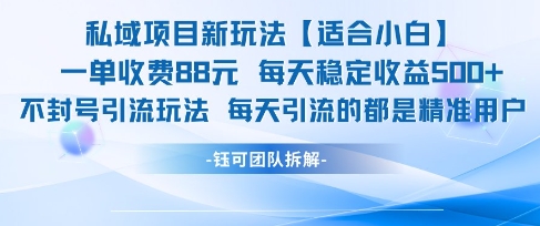 私域项目新玩法【适合小白】 一单收费88.每天稳定收益几张-九天资源站